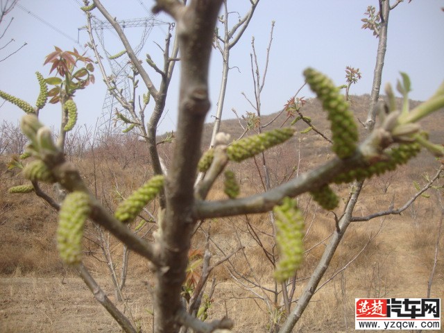 DSC03944.JPG