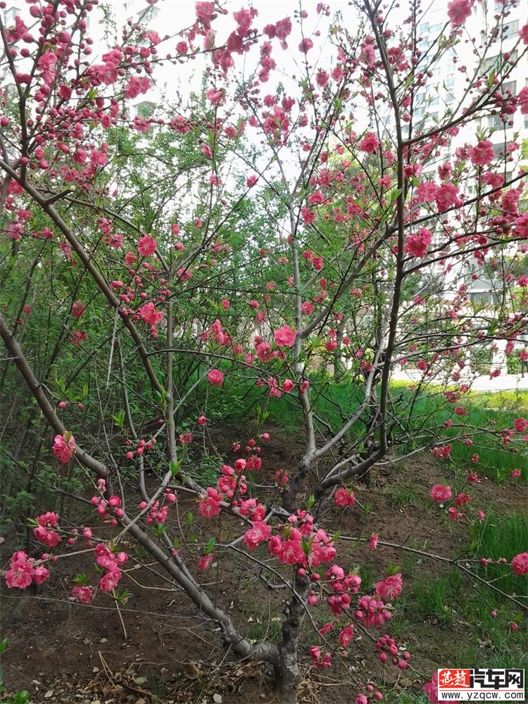 2014-03-30 09.51.12.jpg
