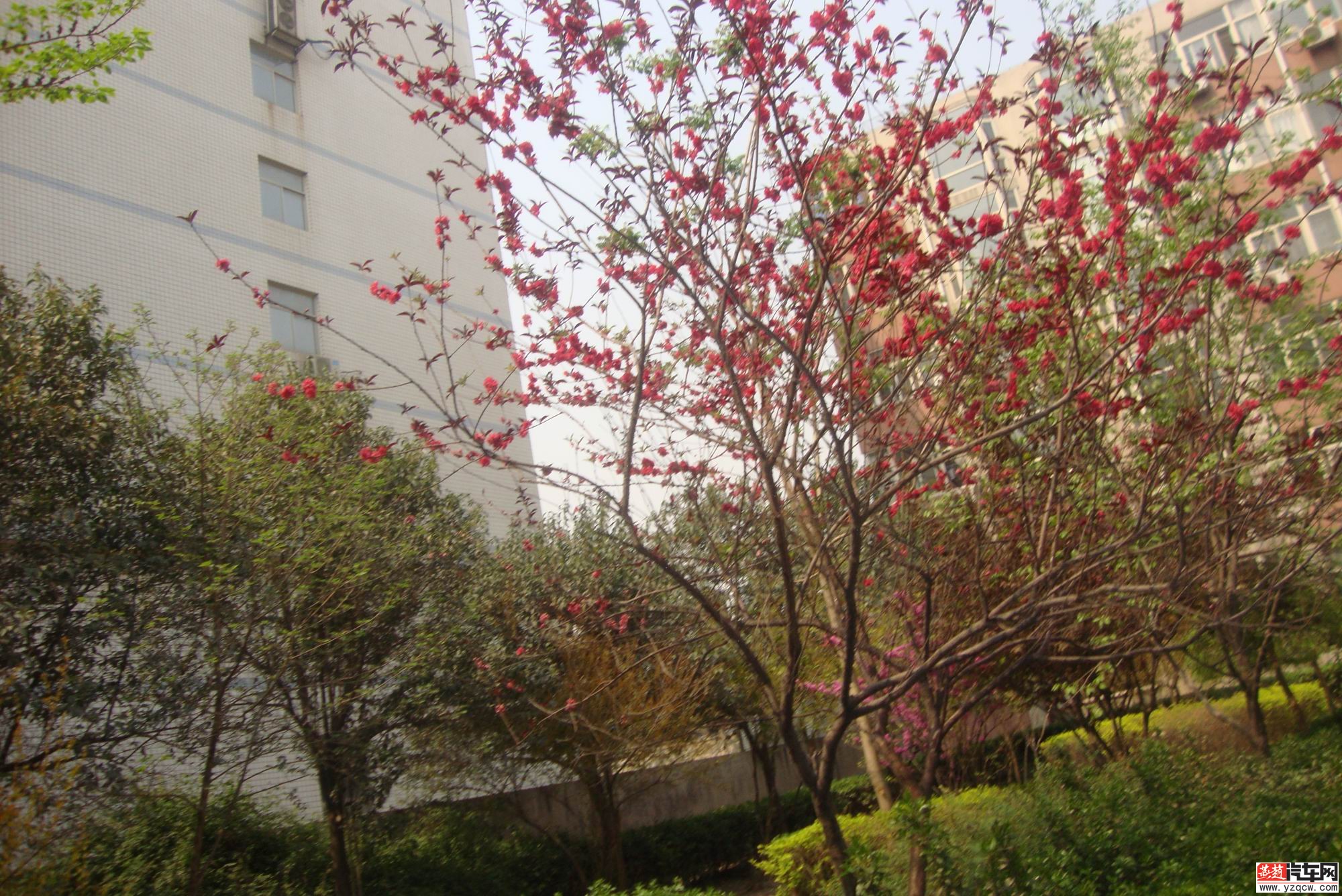DSC04080.JPG