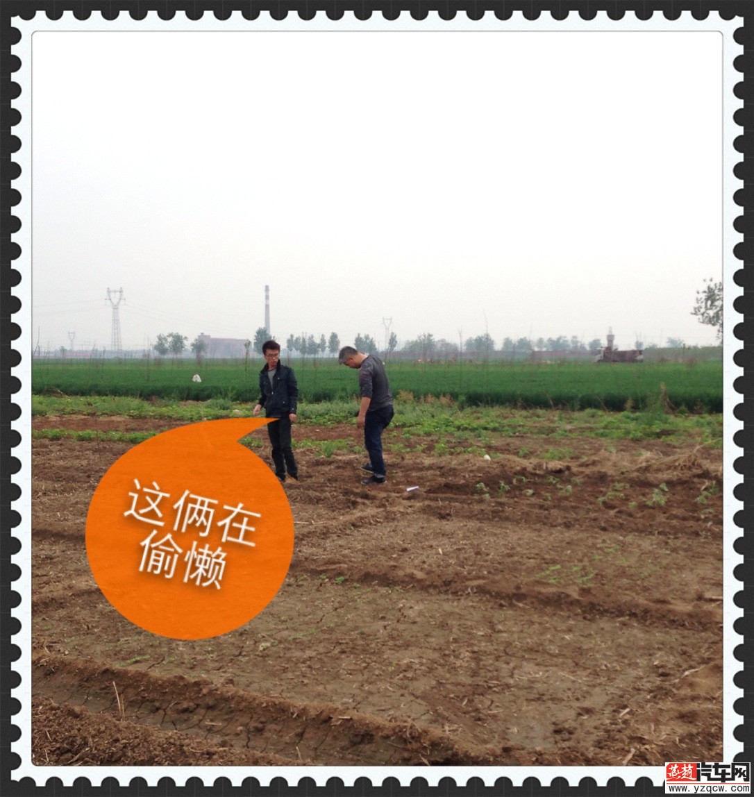 补充协议 013.jpg