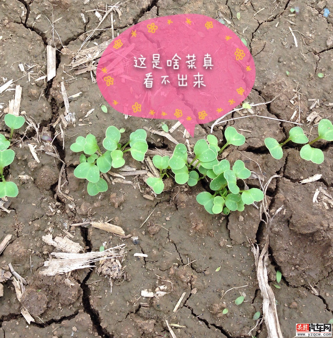 补充协议 011.jpg