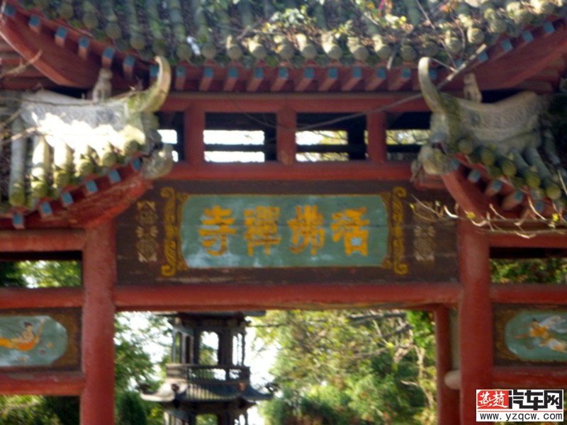 P1000516.JPG