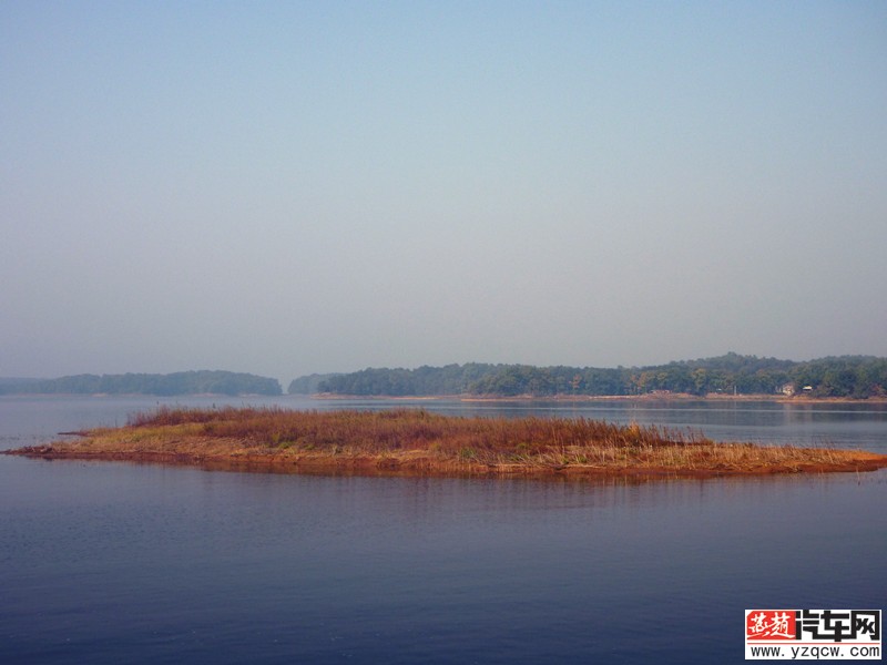 P1000735.jpg