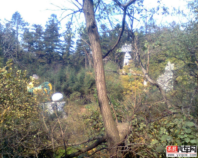 图像0460.jpg