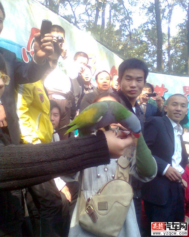 图像0551.jpg