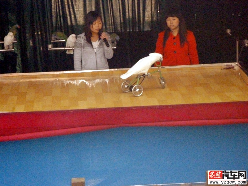 P1000789.jpg