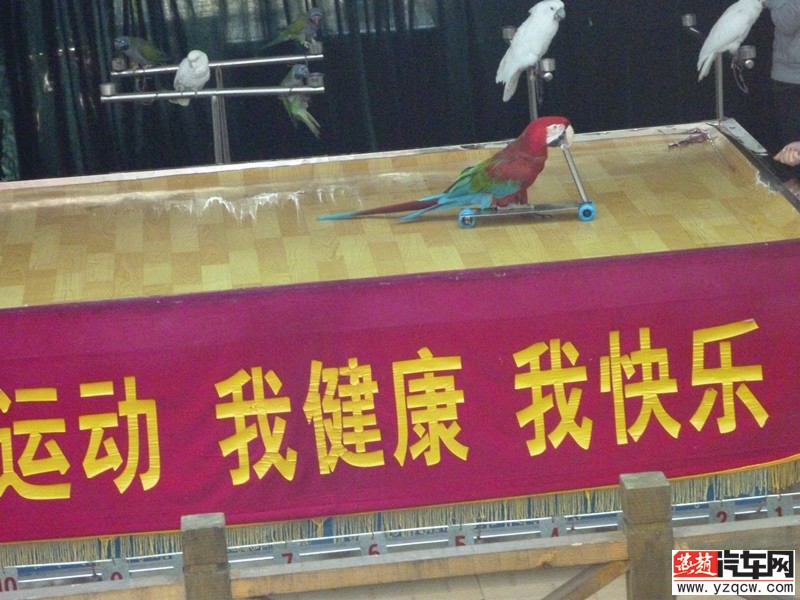 P1000791.jpg
