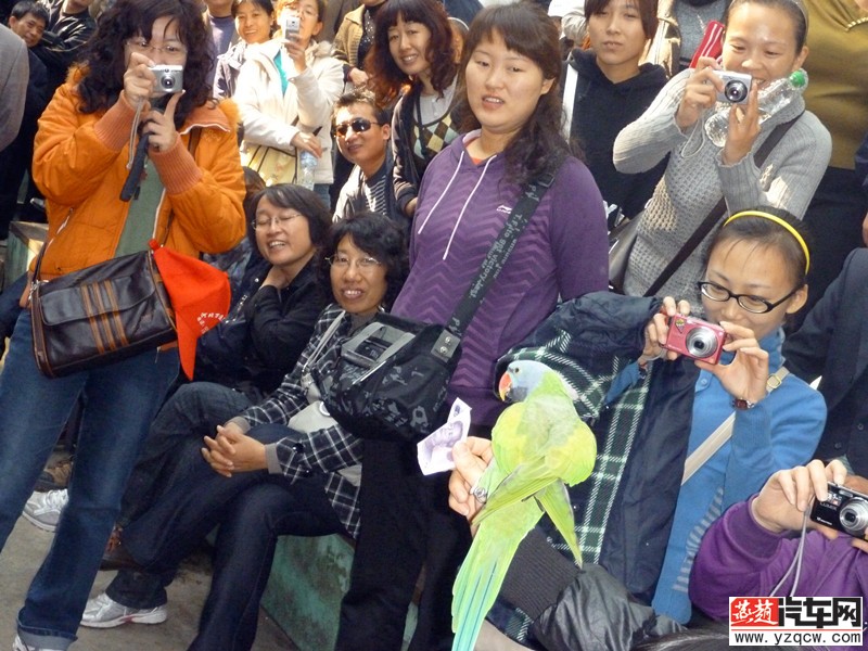 P1000801.jpg
