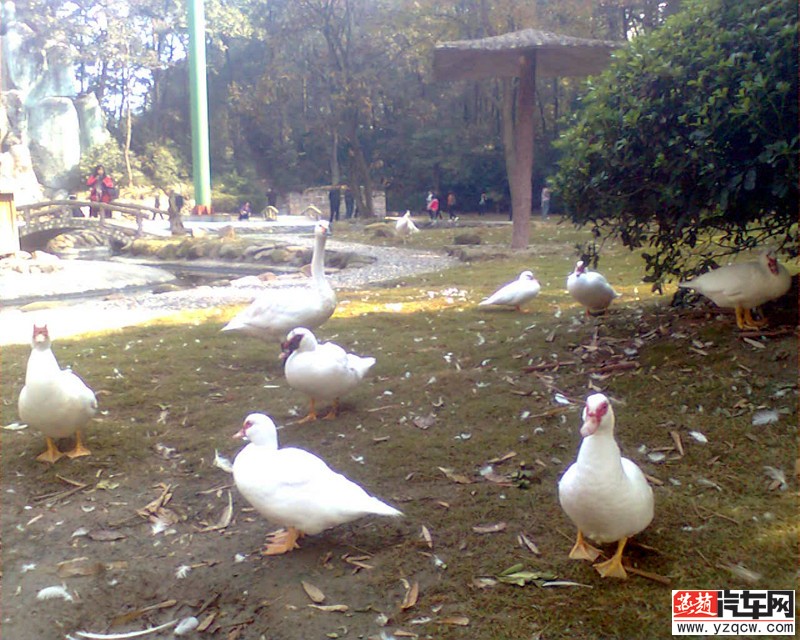 图像0539.jpg