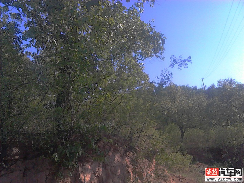 img_20140502_163620_副本.jpg