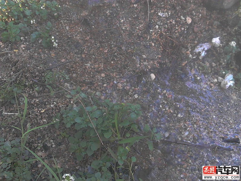 img_20140502_164421_副本.jpg