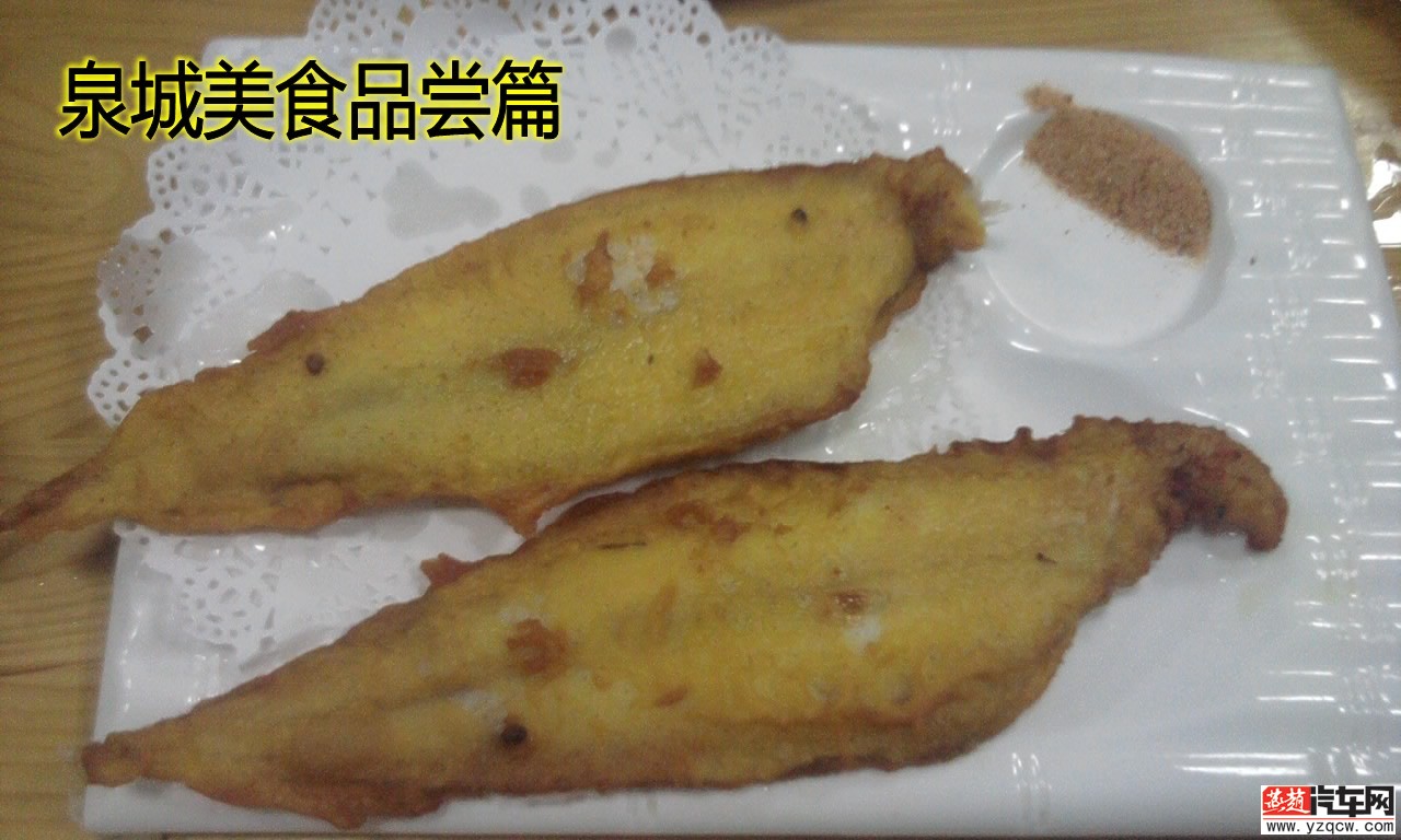 照片1115_conew1.jpg