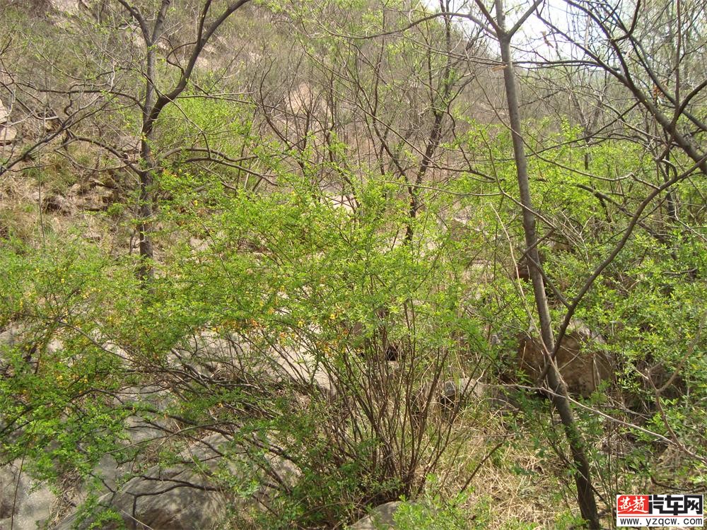 DSC02985.JPG