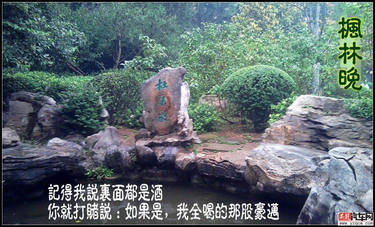 conew_conew_照片2188.jpg1.jpg1.jpg