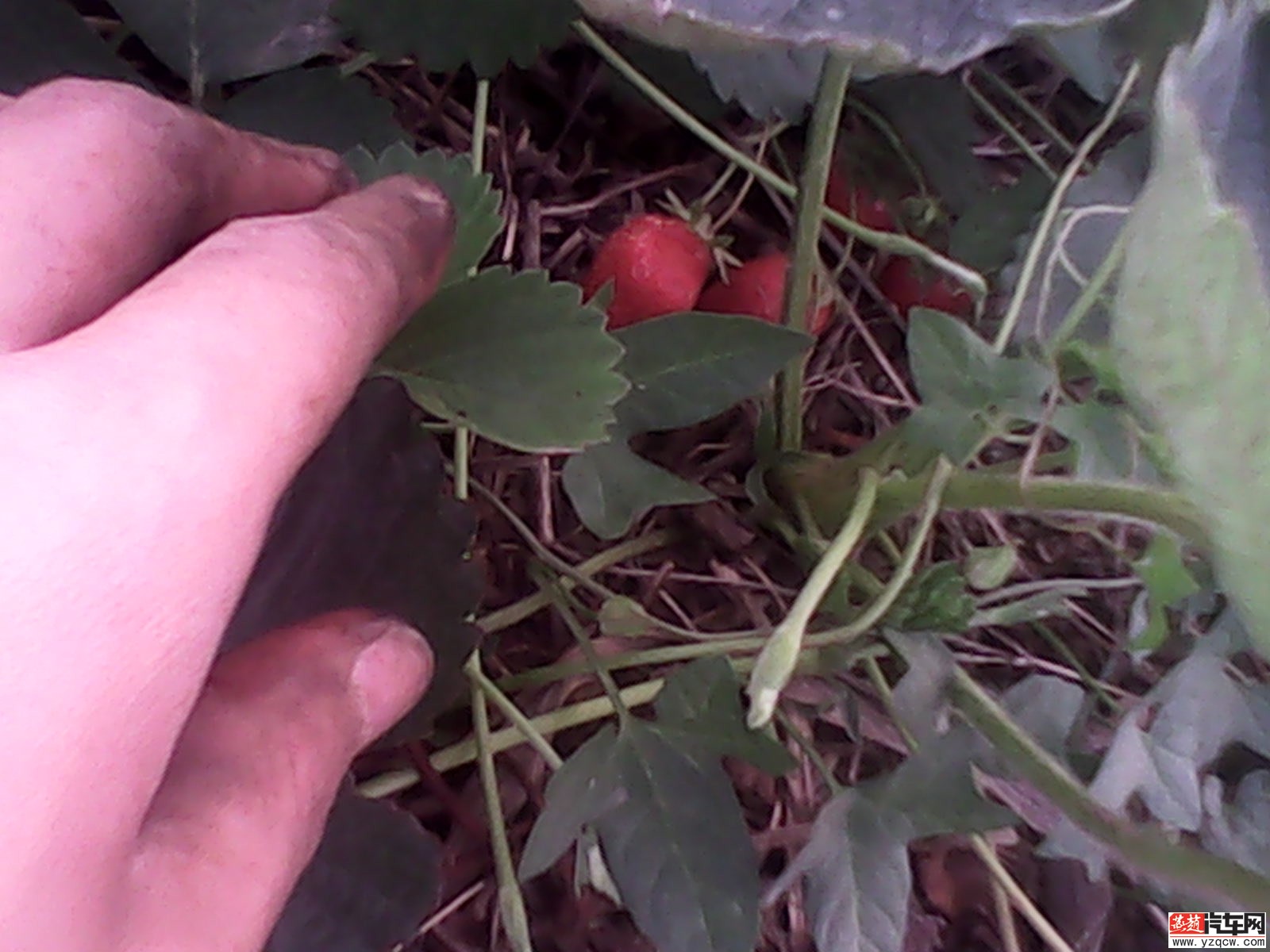 IMG_20140514_180232.jpg