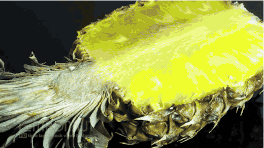 453_43741_449388.gif