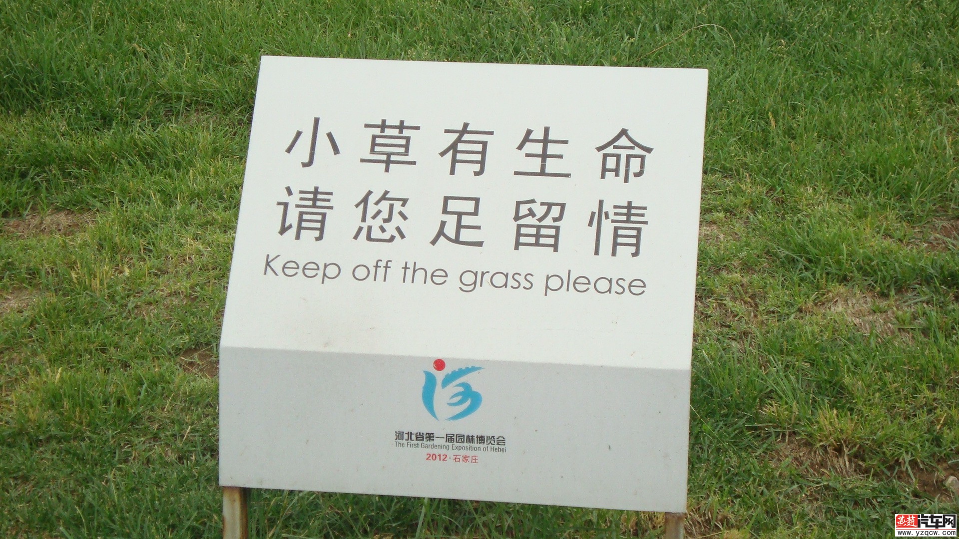 DSC04549.JPG