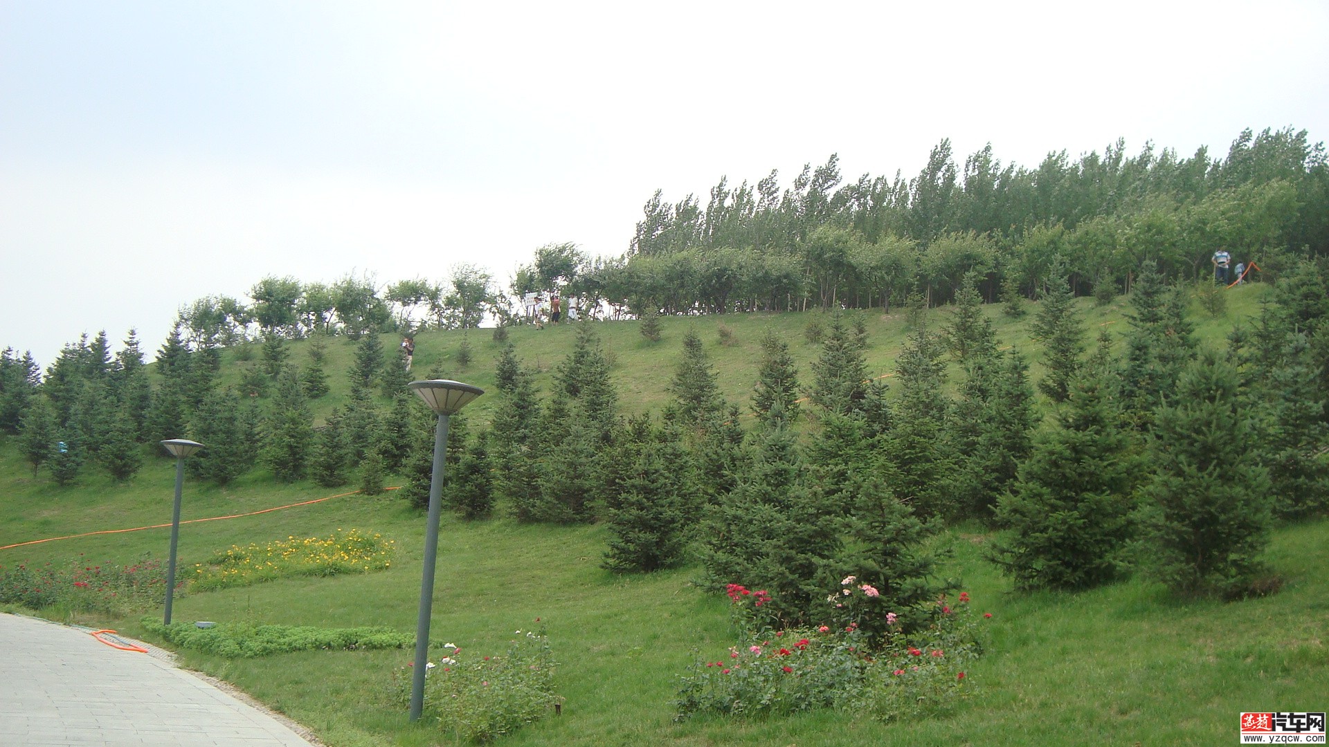 DSC04497.JPG