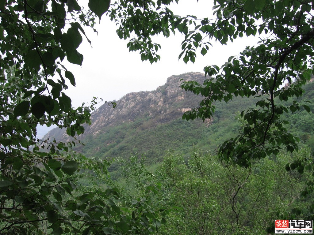 IMG_3170.JPG