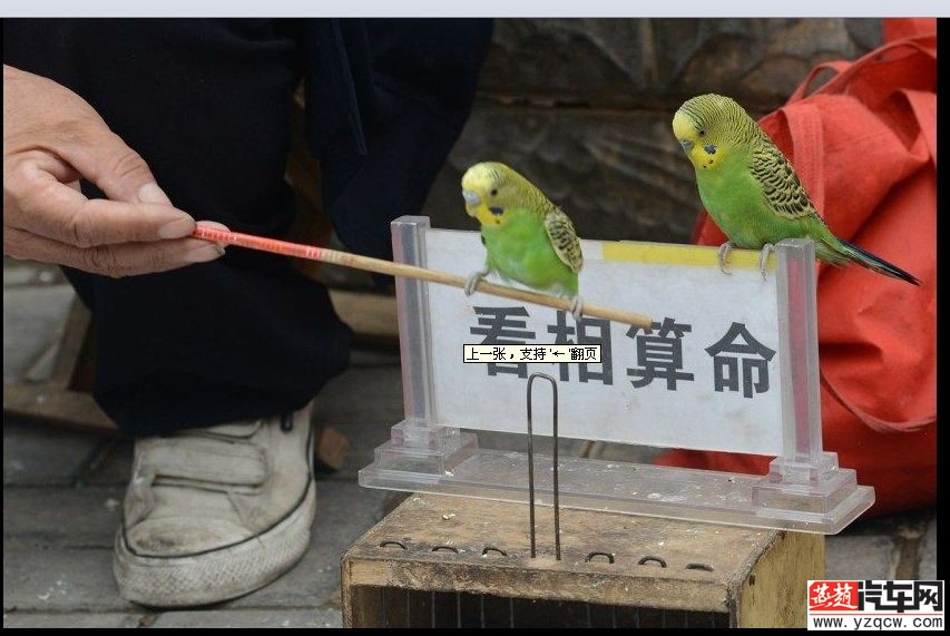 QQ图片20140618093129.jpg