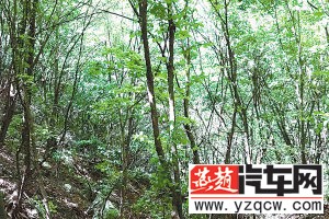 U8905P1275DT20140626072901.jpg