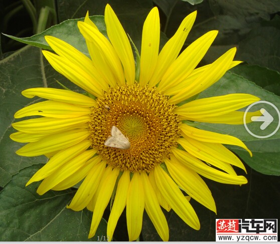 MK)@U771(A3D}0FV86_ROXF.jpg