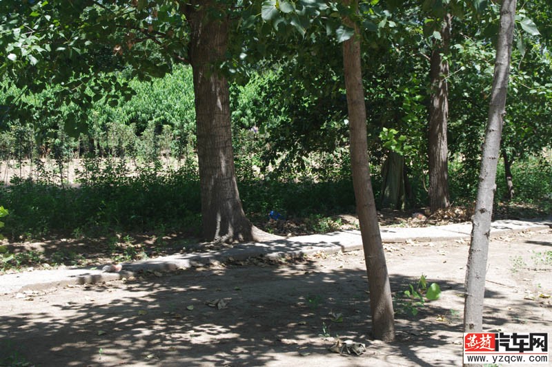 IMGP1753.jpg