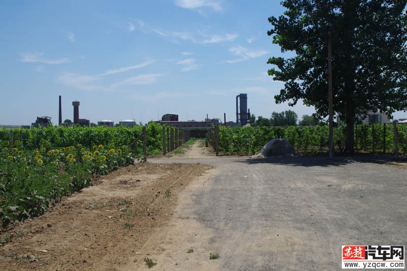 IMGP1769.jpg