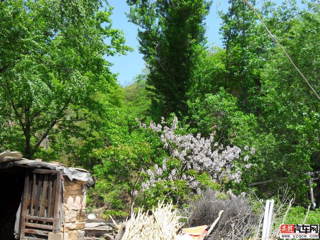 20120509115019038.jpg