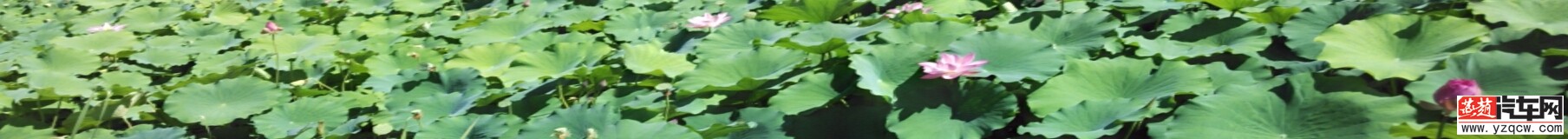 PANO_20140713_102557.jpg
