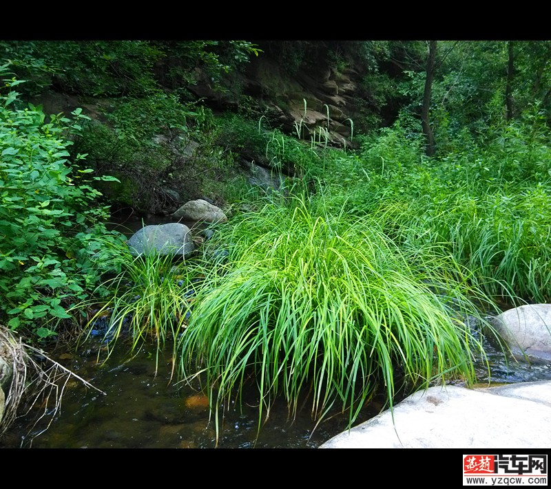 IMG_20140712_142420_副本.jpg