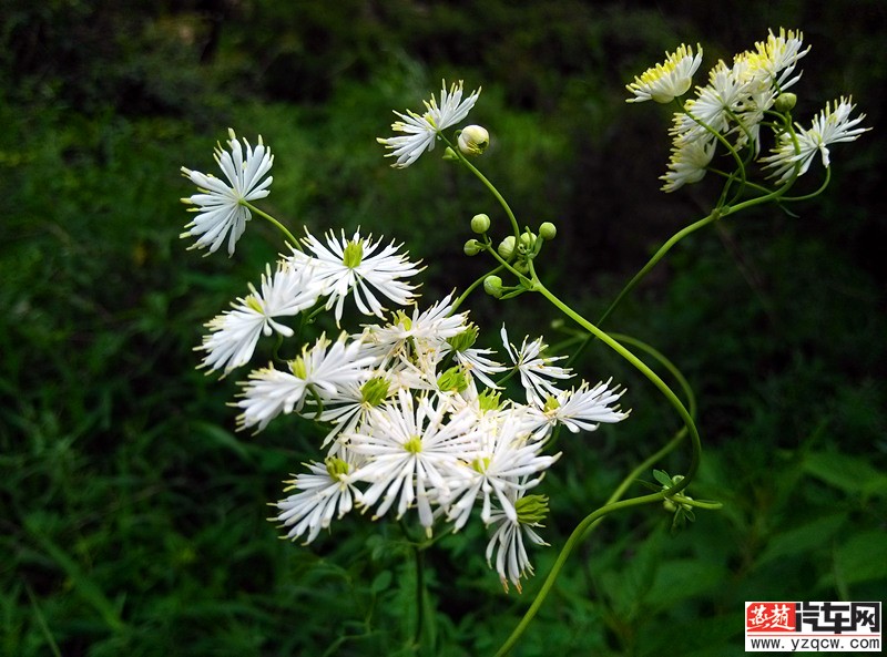 IMG_20140712_144941_副本.jpg