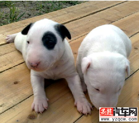 QQ截图20140716092741.png