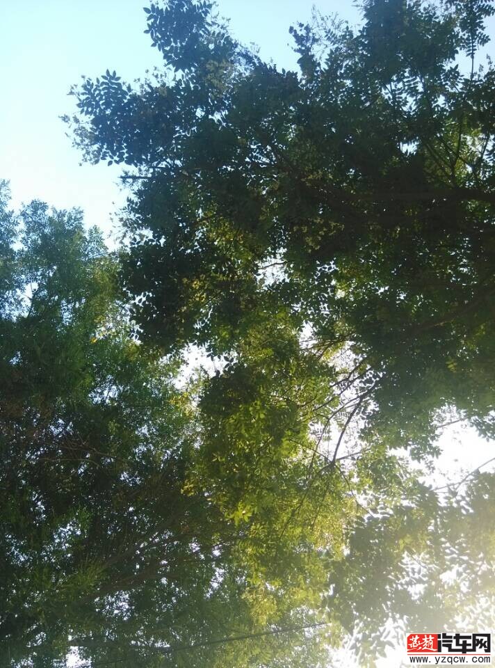 QQ图片20140718162246.jpg