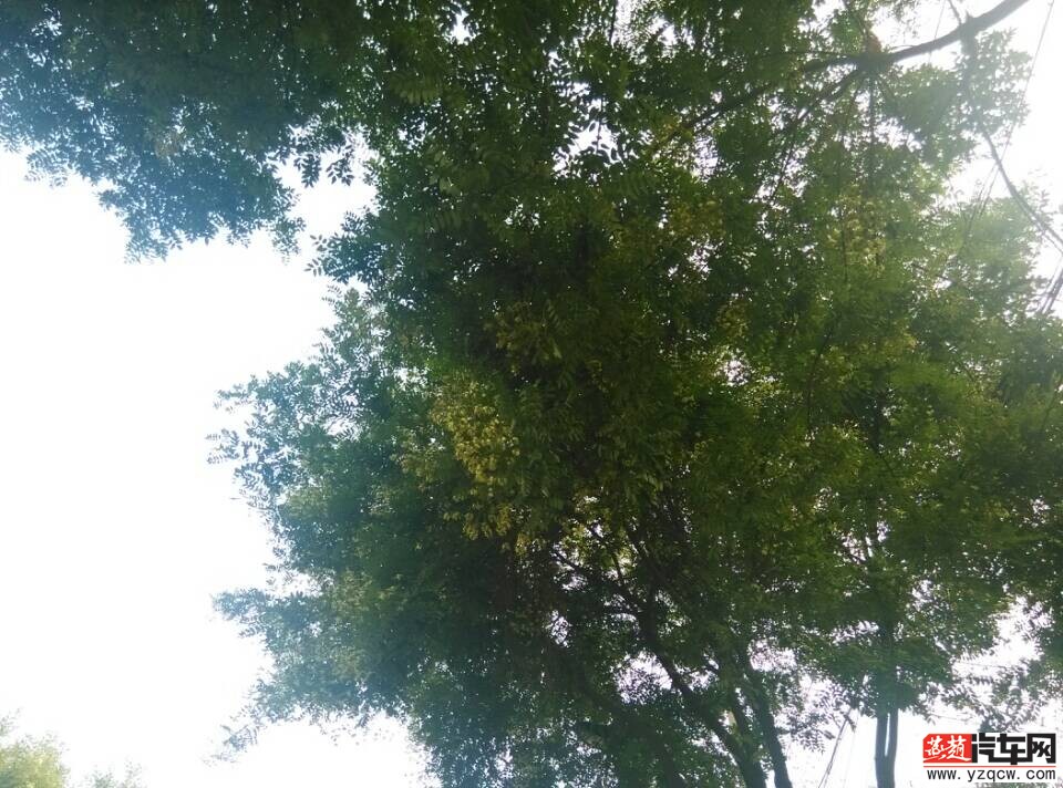 QQ图片20140718162242.jpg