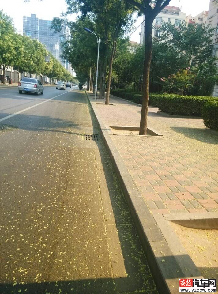 QQ图片20140718162238.jpg