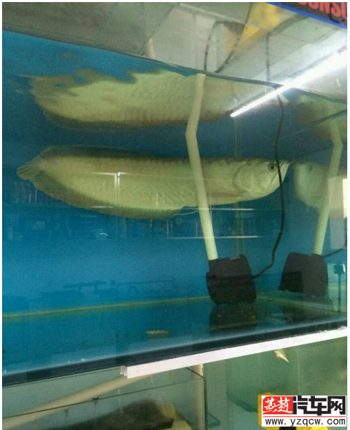 QQ截图20140719165546.png