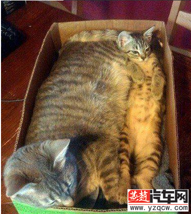QQ截图20140721104715.png