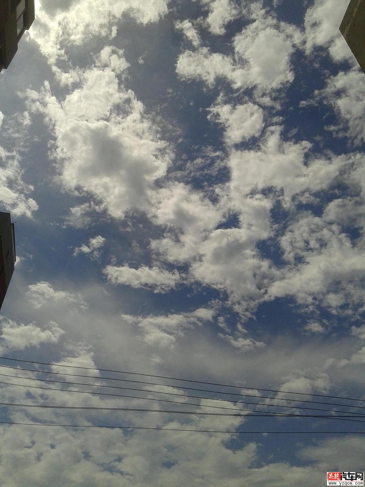 20140723_112216.jpg