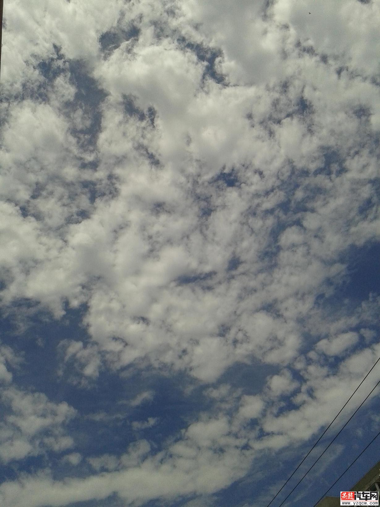 20140723_112258.jpg
