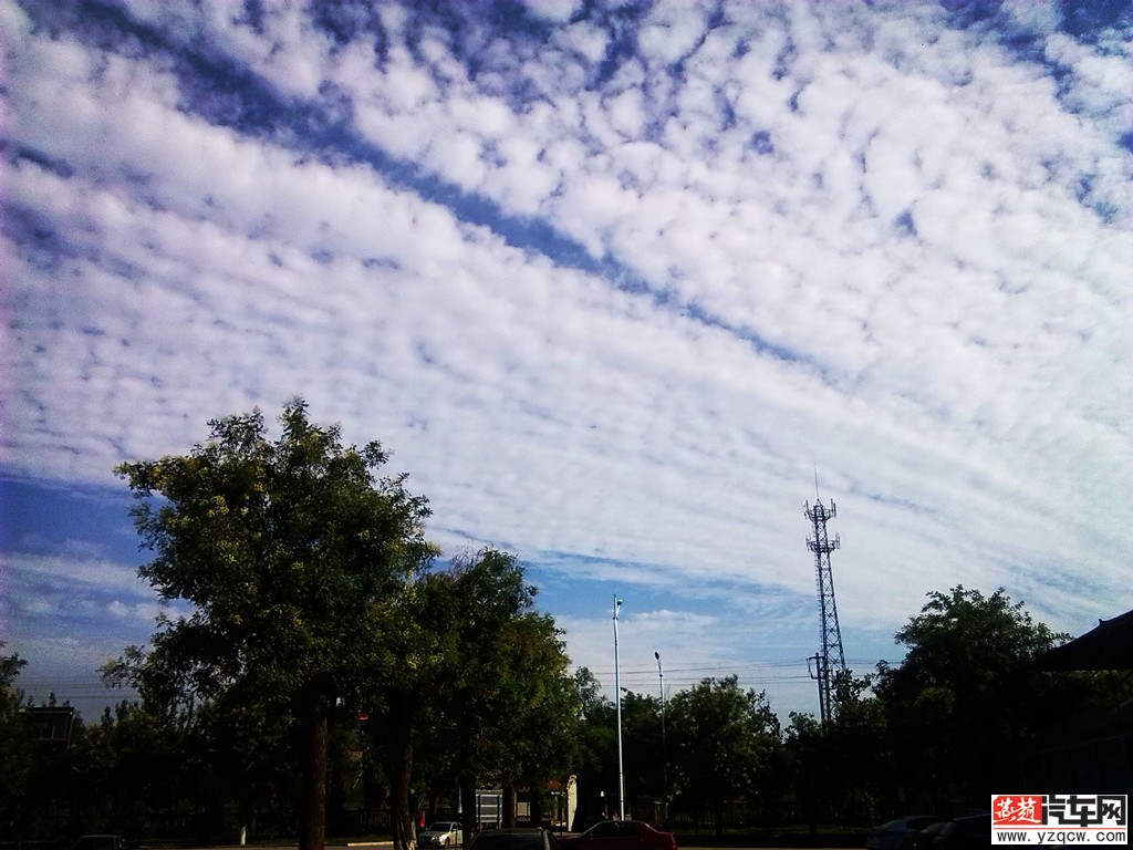IMG_20140724_163756.jpg