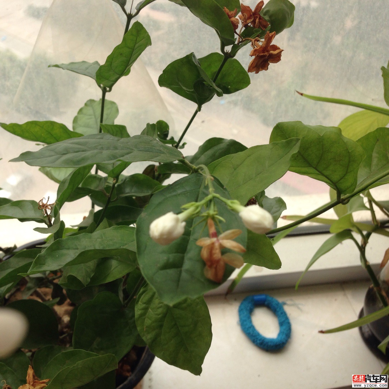 照片 037.jpg