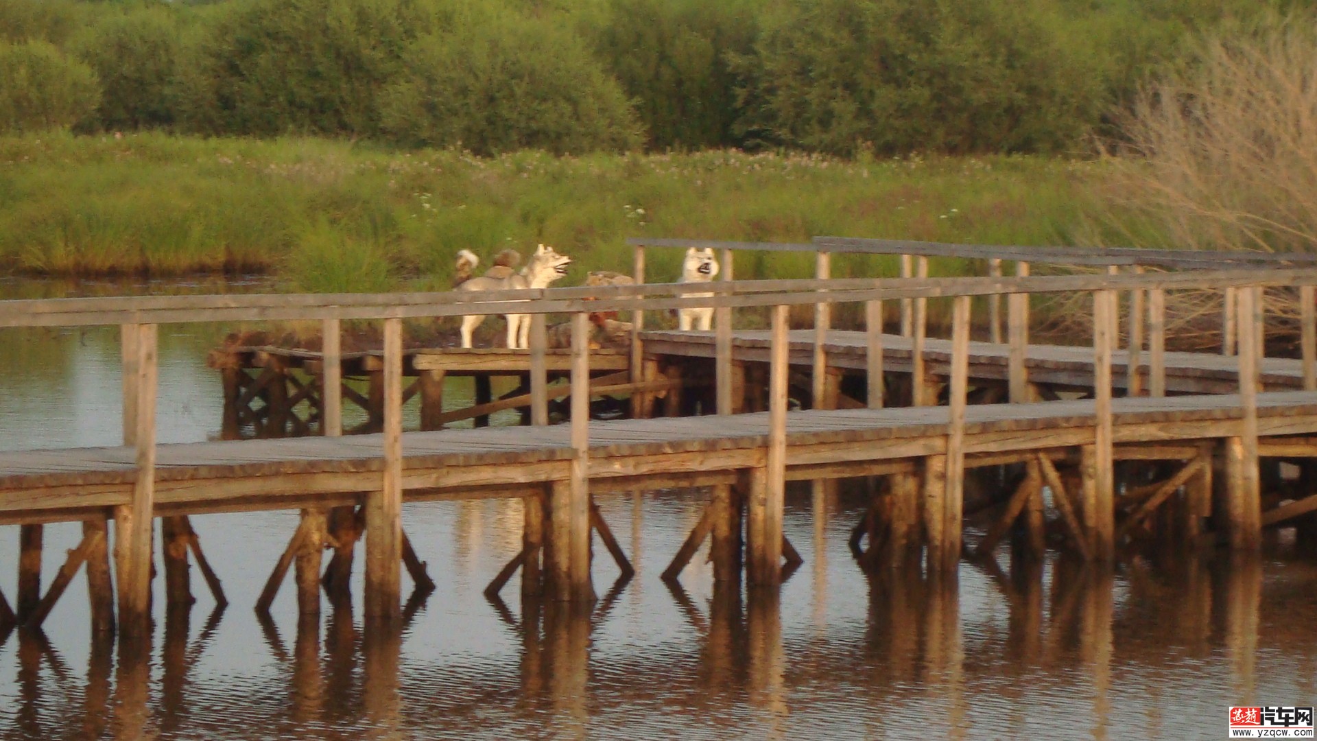 DSC04900.JPG