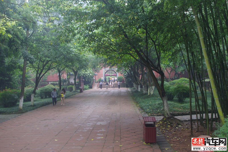 IMGP2203.jpg