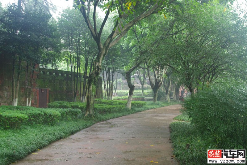 IMGP2207.jpg