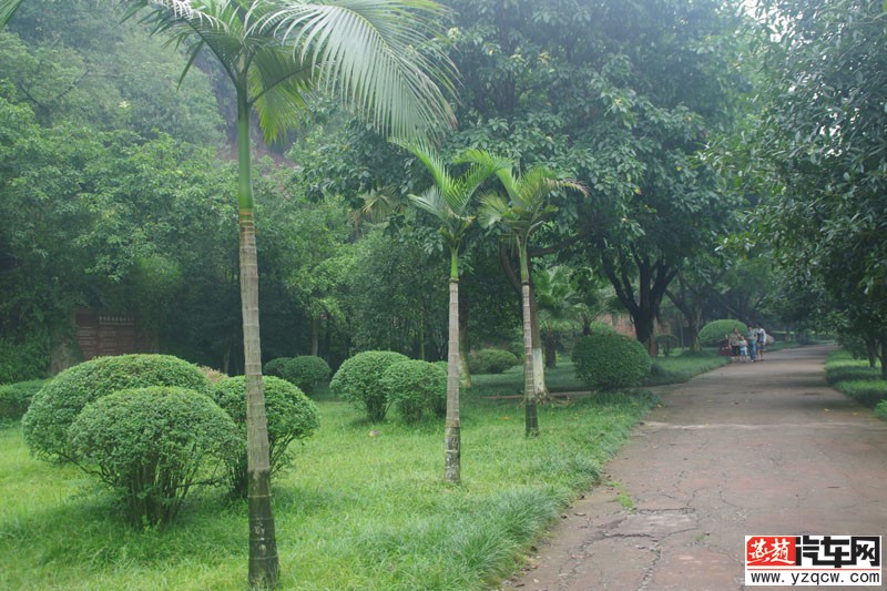 IMGP2220.jpg