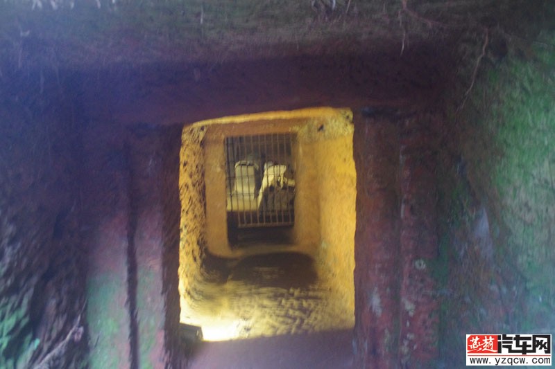IMGP2281.jpg