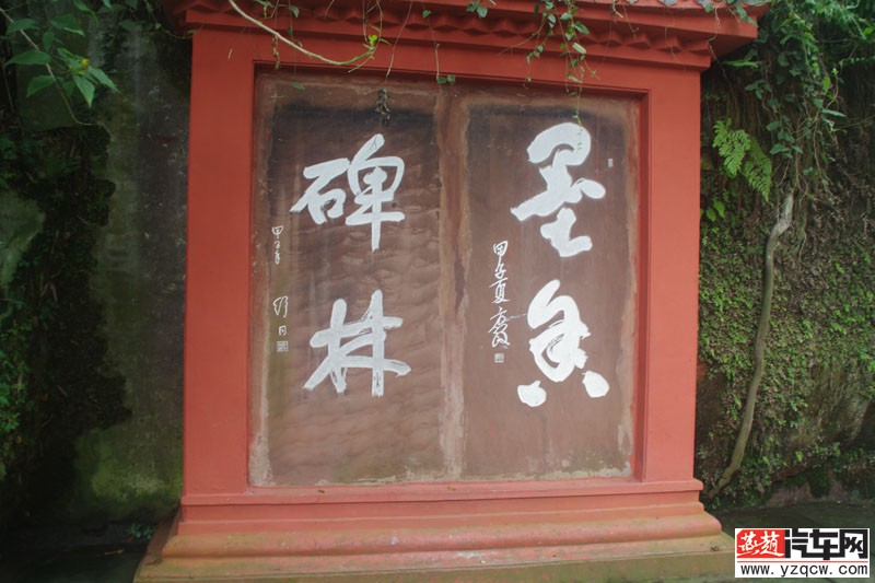 IMGP2302.jpg