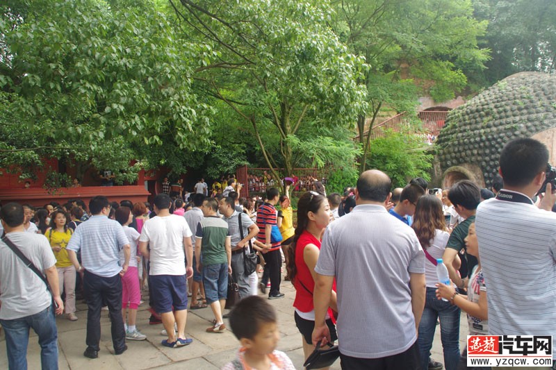 IMGP2315.jpg