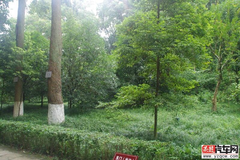 IMGP2343.jpg